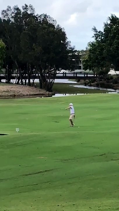 Insolite : quand un golfeur se fait troller par des oiseaux énervés !