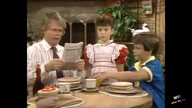 Small Wonder Season-2 Vicki Goodwrench