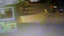 AVM’de bebek cesedi şoku... Sokak köpeğinin bebek cesedini taşıma anı kamerada