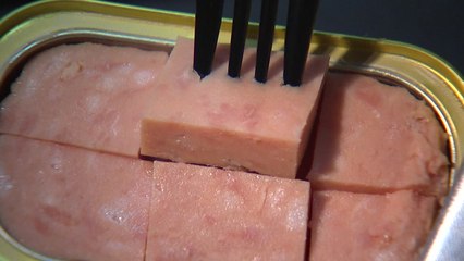 런천미트 검출균은 일반 대장균..."제조사 책임 아닐 수도" / YTN