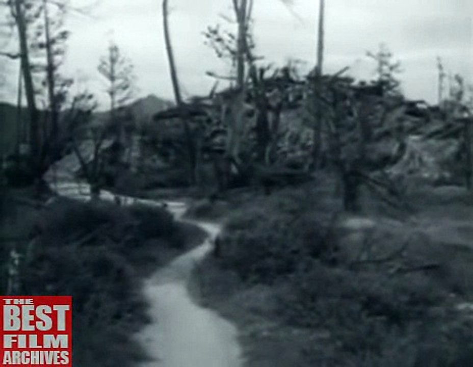 Hiroshima and Nagasaki After the Atomic Bombings