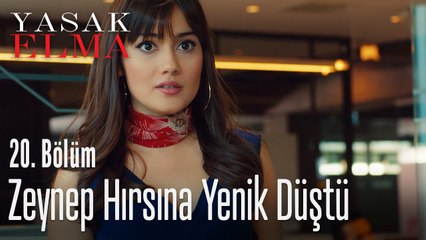 Zeynep hırsına yenik düştü - Yasak Elma 20. Bölüm