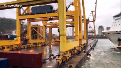 Ferry smashes into Barcelona dock, toppling giant crane