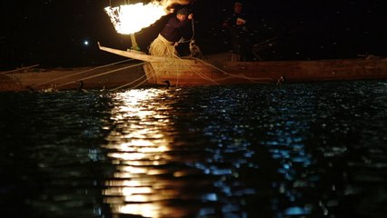 Japon: maître-cormoran, un métier ancestral jalousement préservé
