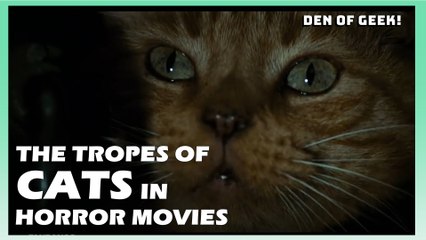 The Tropes Of Cats In Horror Movies