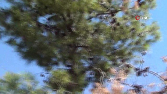 Cudi Ve Gabar Dağı'nda etkisiz hale getirilen terörist sayısı 10’a yükseldi