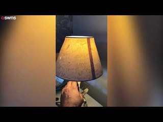 Carpenter launched bid to make an old lamp the most famous by getting everybody to sign it | SWNS TV