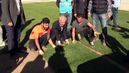 Çorum'un yeni stadına yerli çim