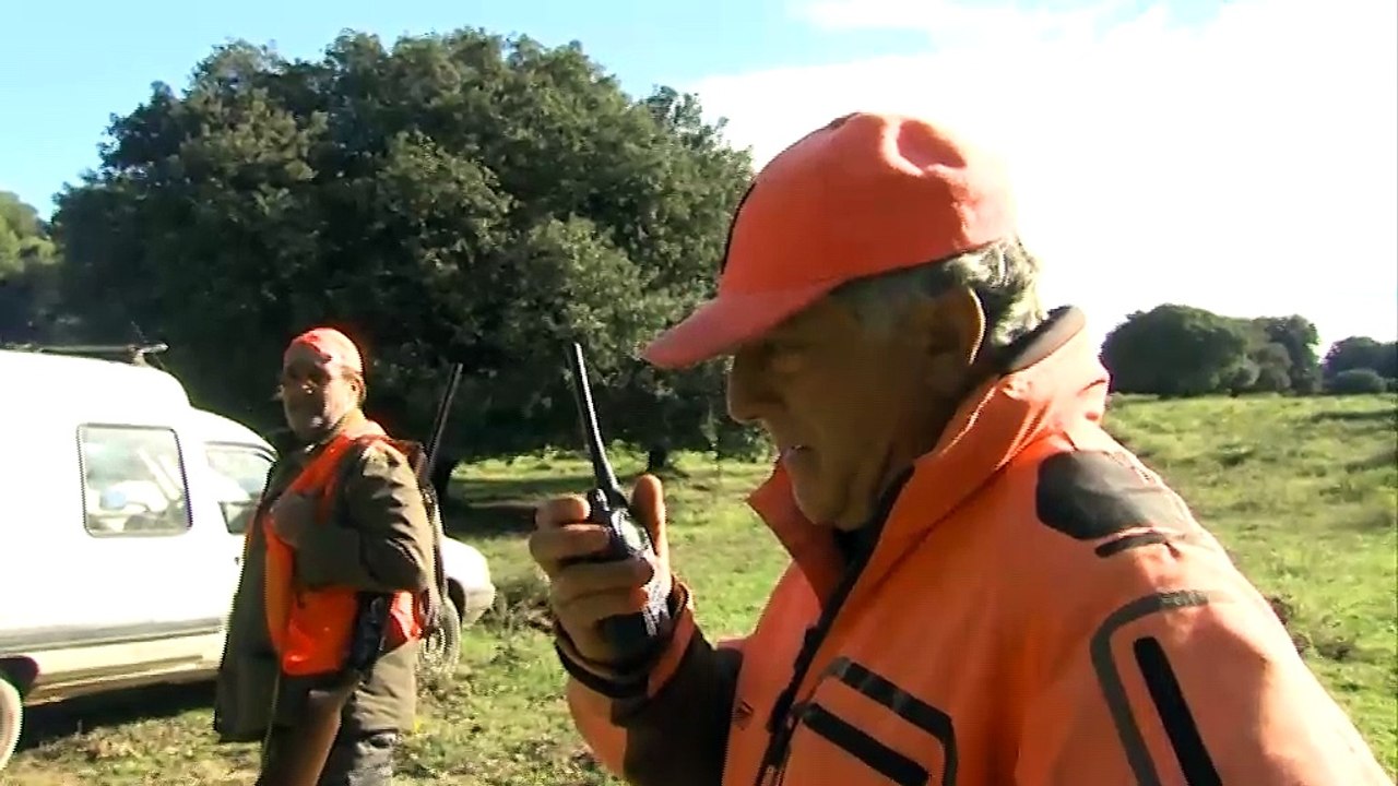 LA QUOTIDIENNE - LE JT : La Quotidienne - Le JT 31 10 18