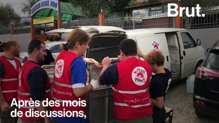 Évacuation du Safari Park Zoo en Albanie