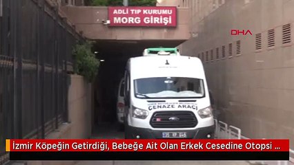 İzmir Köpeğin Getirdiği, Bebeğe Ait Olan Erkek Cesedine Otopsi Yapıldı