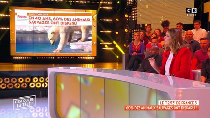 Plus de la moitié des animaux sauvages ont disparu !