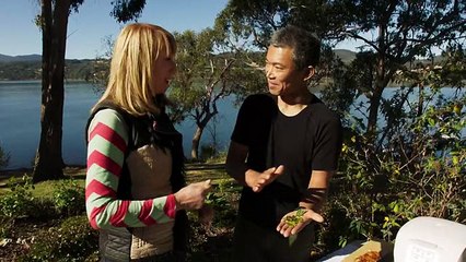 Food Safari Water S01E11