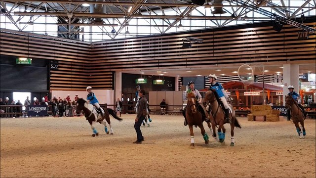 A la découverte du horse-ball au salon Equita de Lyon