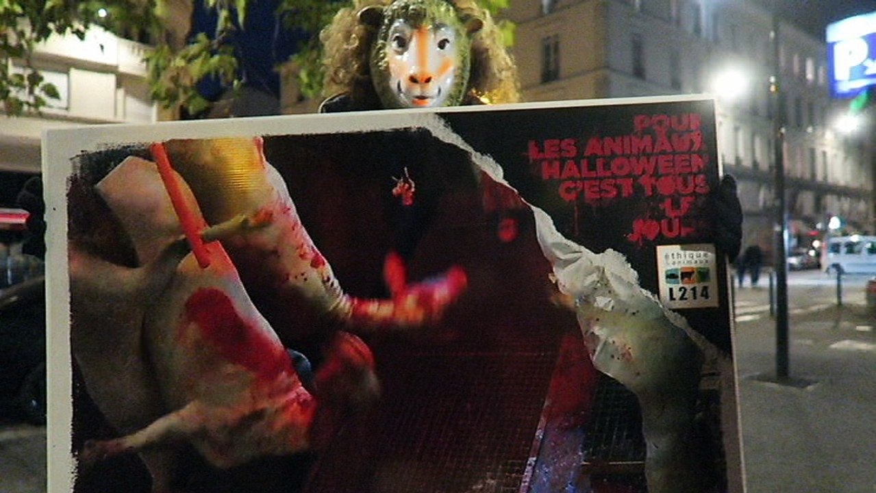 « Pour les animaux, c’est tous les jours Halloween »