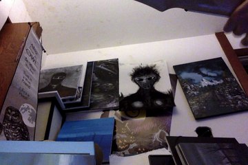 Movie on 10-31-18 at 2.16 PM