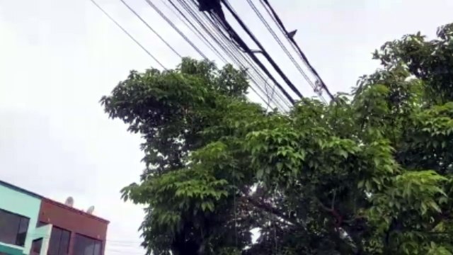 Fios soltos sobre a rua preocupam moradores do Novo Milênio