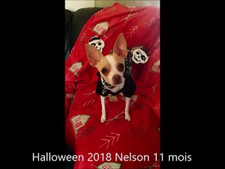 Nelson pas trop s?r de sa tenue de squelette lol