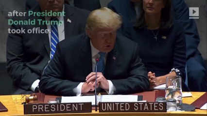 The Obamas' First Netflix Film Will Be About Trump