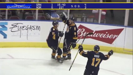 ECHL Greenville Swamp Rabbits 2 at Norfolk Admirals 3