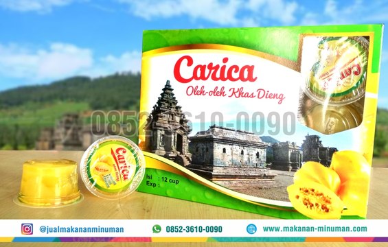 [TERMURAH!!!] Carica Dieng 0852-3610-0090