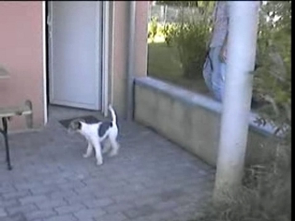Premier saut