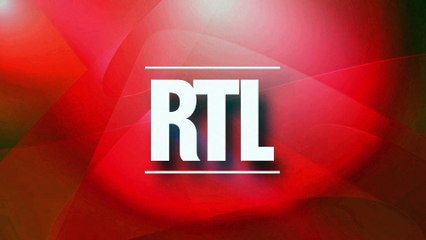 Agriculture : l'alimentation des vaches impacte la qualité du lait