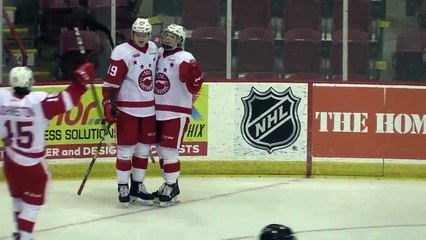 OHL Flint Firebirds 3 at Sault Ste. Marie Greyhounds 9
