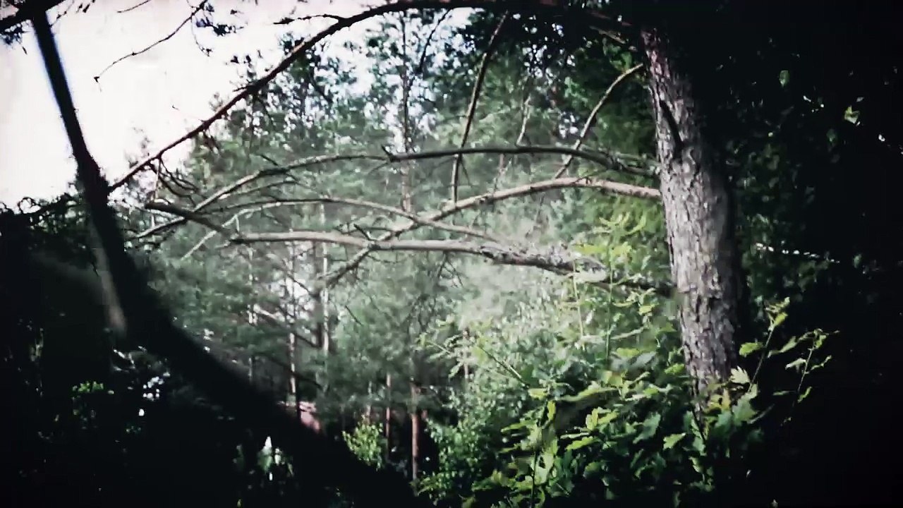 Der Kahlkopf Metzger/Held aus Eichenholz!