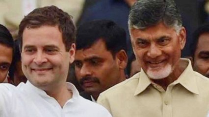 Rahul Gandhi से Delhi में मुलाकात करेंगे Chandrababu Naidu, महागठबंधन की कवायद तेज । वनइंडिया हिंदी
