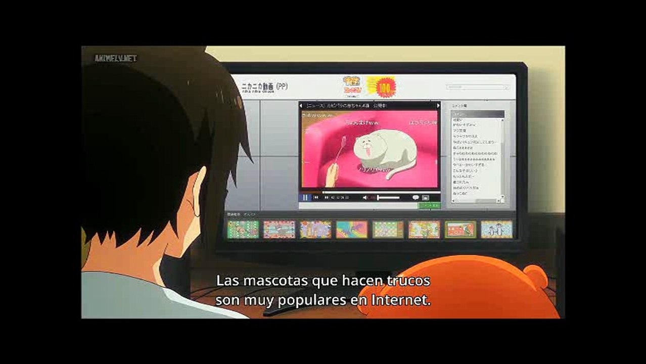 Codicia - Himouto! Umaru-chan