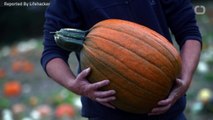 Make Better Pumpkin Seeds By Soaking Them in Beer