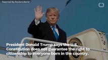Trump Contends U.S. Constitution Does Not Cover Birthright Citizenship