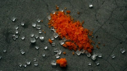 How ants carry their food and eat them?