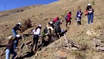 Erzincan'da Gençlerin Eliyle 4 Bin Fidan Toprakla Buluştu