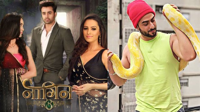 Naagin 3 : Yeh Hai Mohabbatein fame Aly Goni to Enter in the show | FilmiBeat