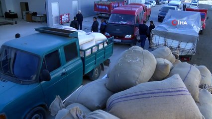 TMO Fındık Alımlarına Başladı