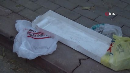 Başkent'te Vahşet: 2 Kediyi Ayaklarını Kesip Öldürdüler