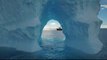 Experts weigh up turning Antarctica's Weddell Sea into sanctuary