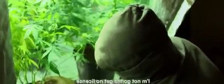 Professor Green Documentaries S03E01 Professor Green Is It Time to Legalise Weed