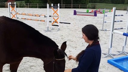 Gabrielle Cousin (cavalière franco-canadienne de niveau internationale) et sa jument de 19 ans « Aramisse »