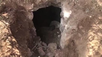 Etkisiz Hale Getirilen Terörist 8 Şehidin Faili Çıktı