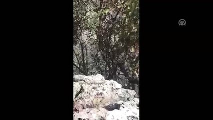Teröristin Yakalanma Anı Kamerada