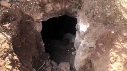 Etkisiz hale getirilen terörist 8 şehidin faili çıktı - ŞIRNAK