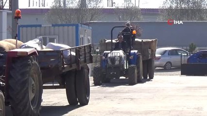 Düzceli Fındık Üreticisi Fındığını TMO'ya Veriyor