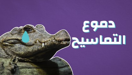 دموع التماسيح