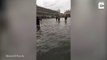 Ils courent le Marathon de Venise dans les inondations de la ville !