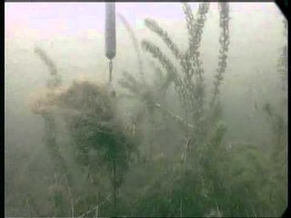 MARKER FLOAT IN SHALLOW WATER