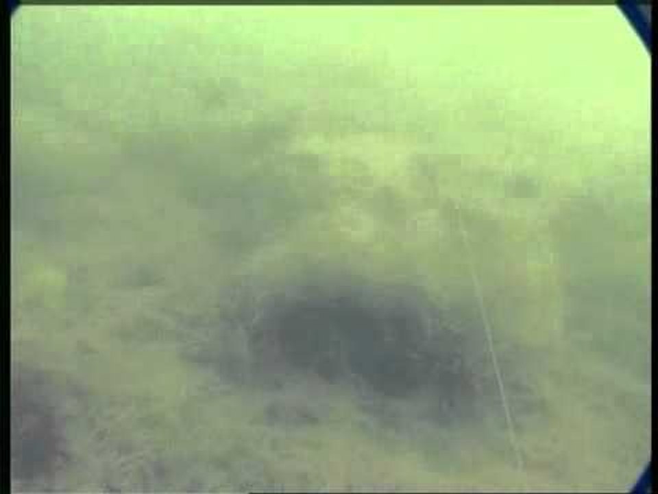 TACKLING A TRICKY CARP WATER