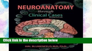 D.O.W.N.L.O.A.D [P.D.F] Neuroanatomy through Clinical Cases [E.P.U.B]